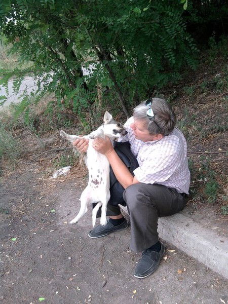 Владимир Иванченко