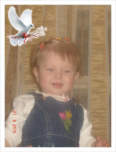 Алексей Евдокимов