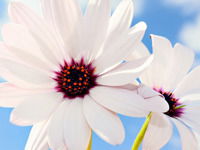 Байдуллаева Гулназ