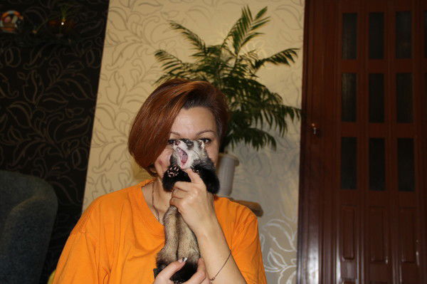 Анна Андреева