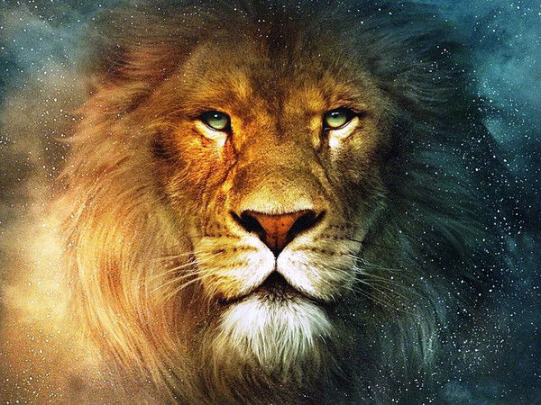 Михаил Кочергин