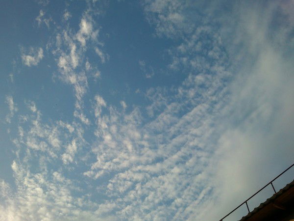 Ольга Крюковская