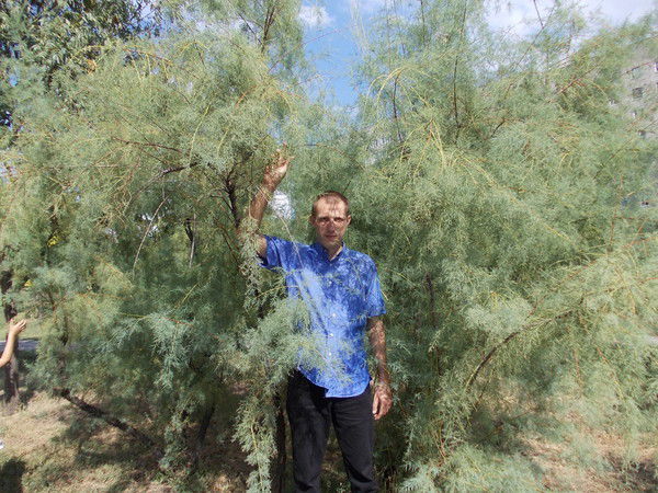 Андрей Прикота