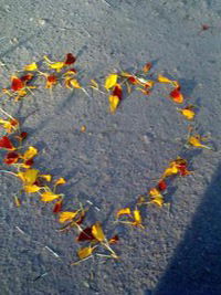 Алёна Мякишева