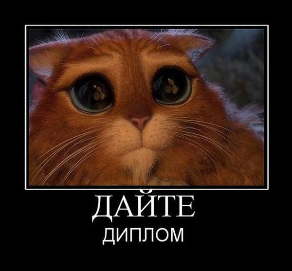 Айгуль Кызылординский Перинатальцентр