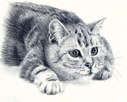 Людмила Заночкина