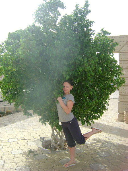 Nick Angel! Nick Angel!