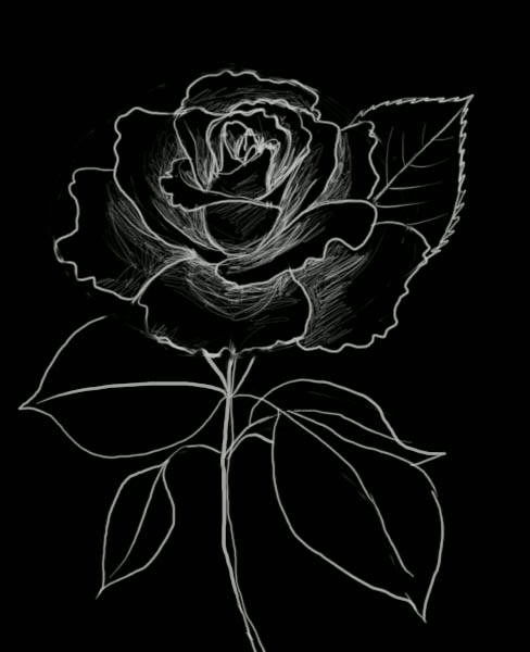 Наталья Завьялова