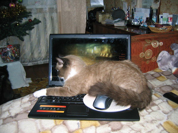 Григорий Зарудний