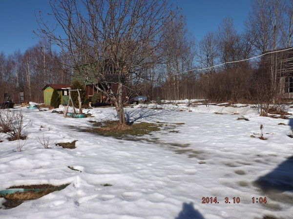 Марина Акул