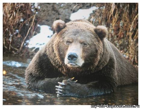 Косолапый Снег