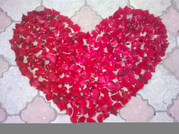 Санжар Чороев