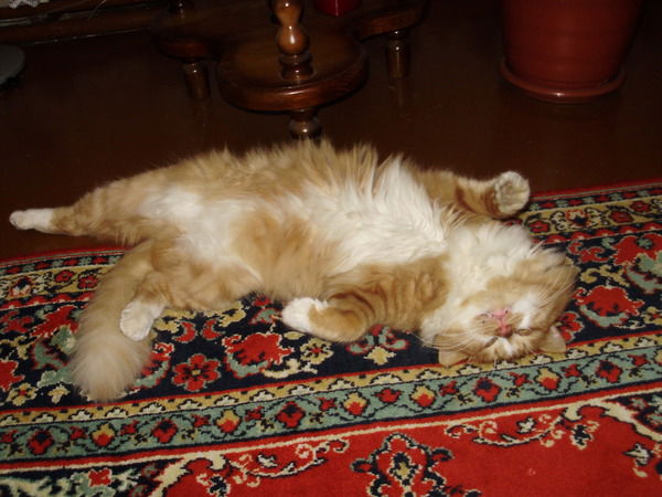 Виталий Попов