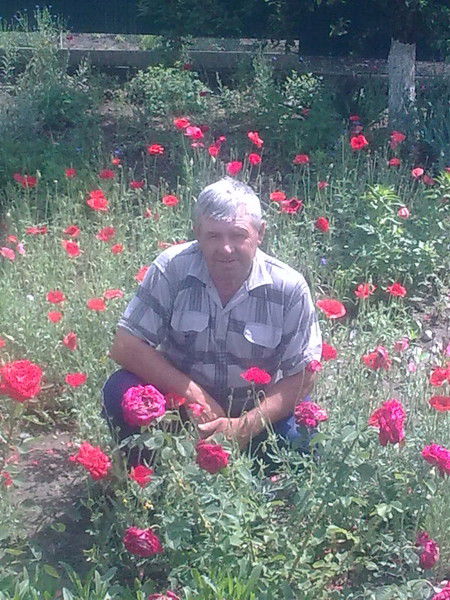 Николай Воробьев