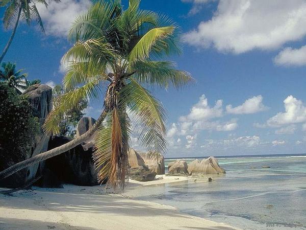 Дамира Рамазанова