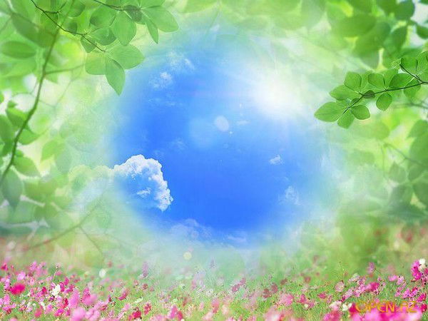 Светлана _***