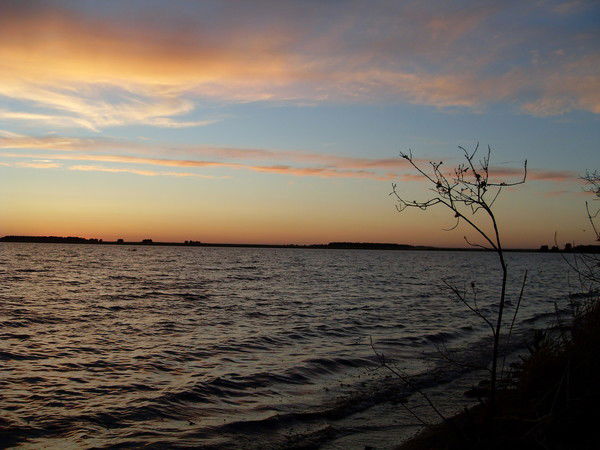 Елена Шумова