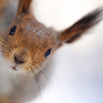 Ольга Шерстнева