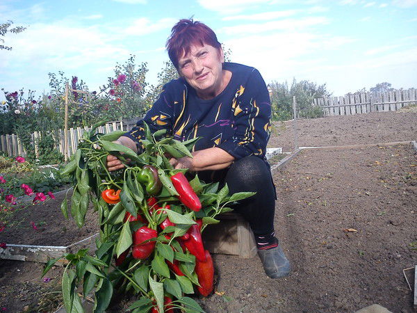 Катерина Артеменко