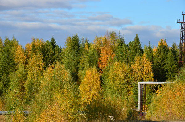 Людмила Белова