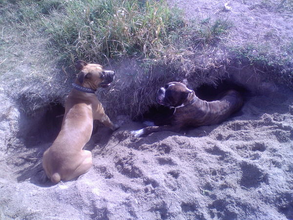 Вероника Савкуева