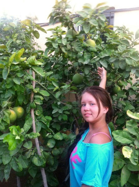 ...среди Миров...