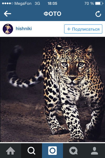 Анастасия Ерохина