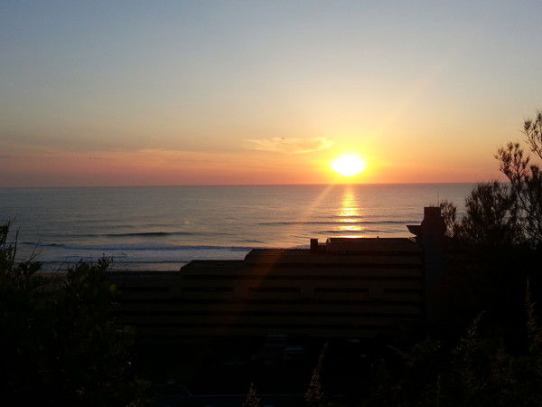 Вероника Латухина