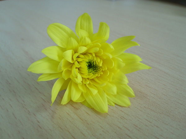 Кира Секрет