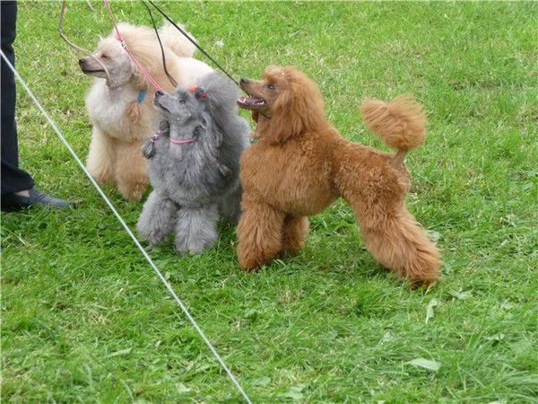 Татьяна Смирнова