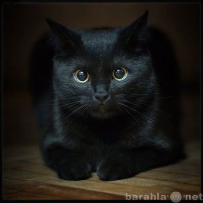 Лариса Гиззатуллина