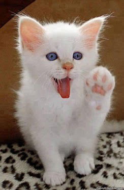 Сергей Чаликов