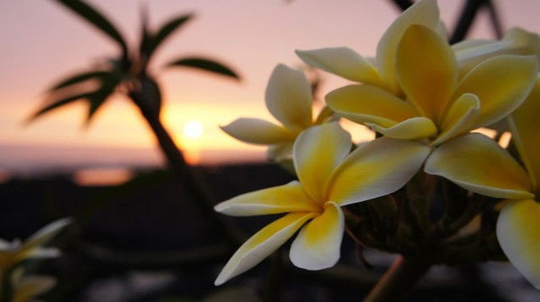 Гулайхан Сундетбаева