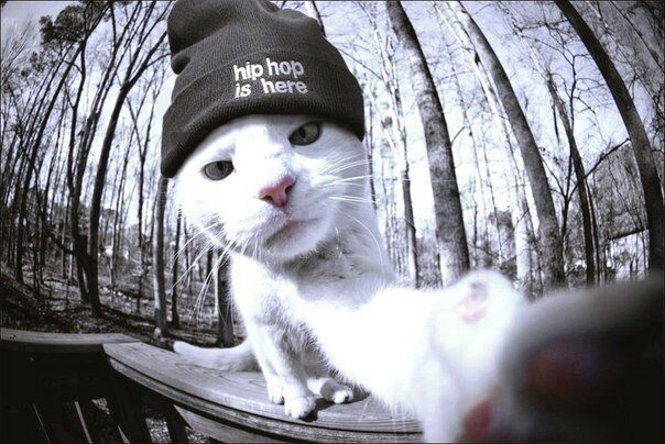 Роман Грушенко