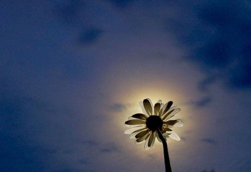 Айнур Хасанов