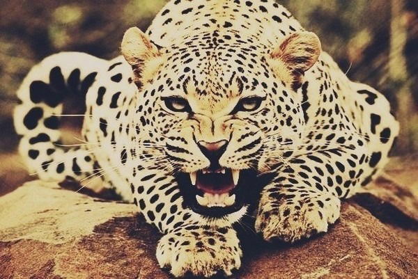 А Муслимова