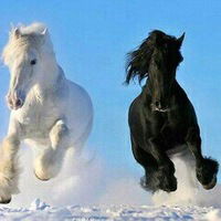 Серик Толеубайев