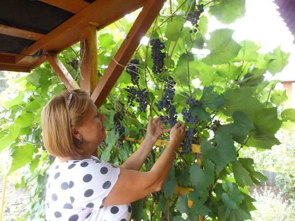 Светлана Верзакова