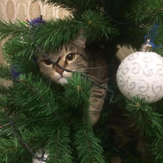 Геннадий No Name