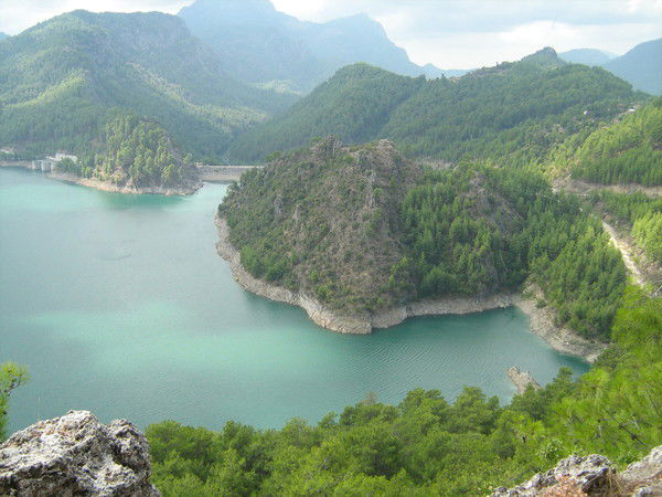 Виталий Зуев