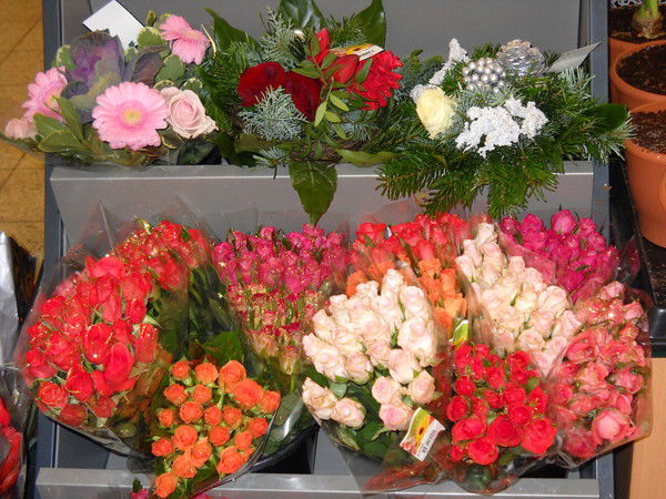 Айгуль Корганбаева