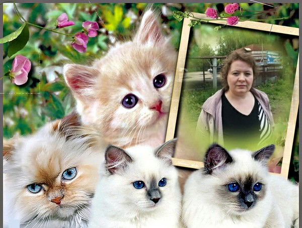 Елена Рамазанова