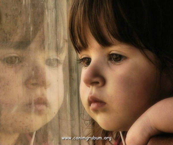 Анна Дмитриева