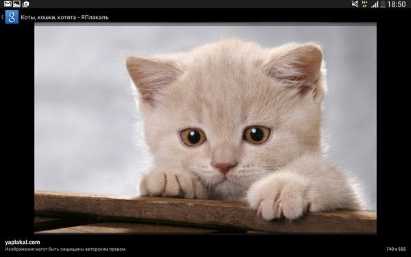 ....~~~Настёна- Сластёна~~~.....