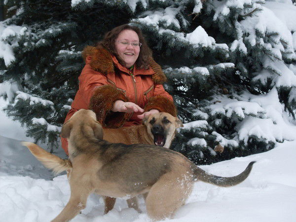 Елена Чеботникова