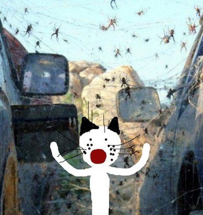 Алина Камнева