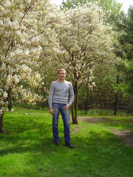 Владимир Кремер