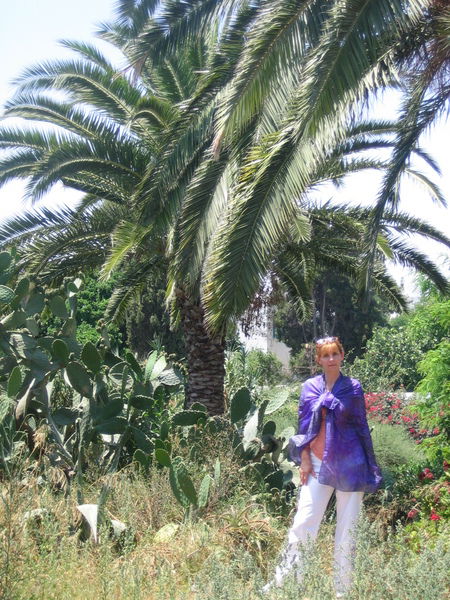 ??????? ??????????????????