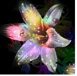 Лилия Водолага