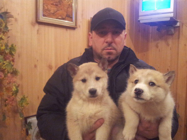 Дмитро Урущак